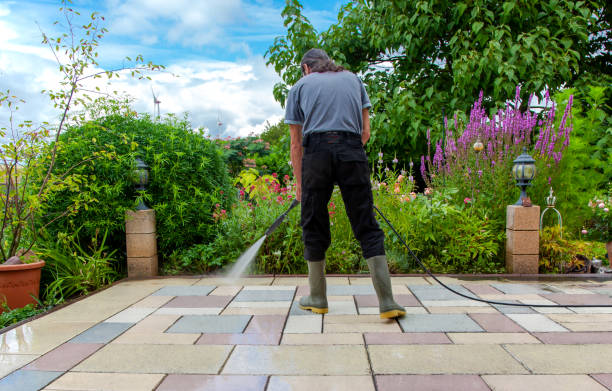 Trusted Ventress, LA Pressure Washing Services Experts